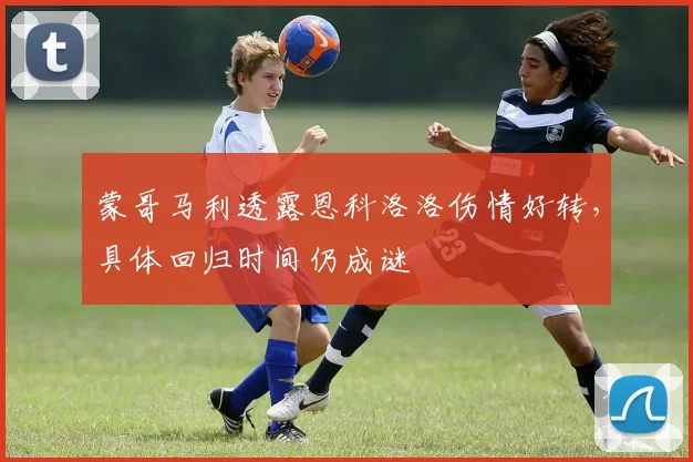 蒙哥马利透露恩科洛洛伤情好转,具体回归时间仍成谜